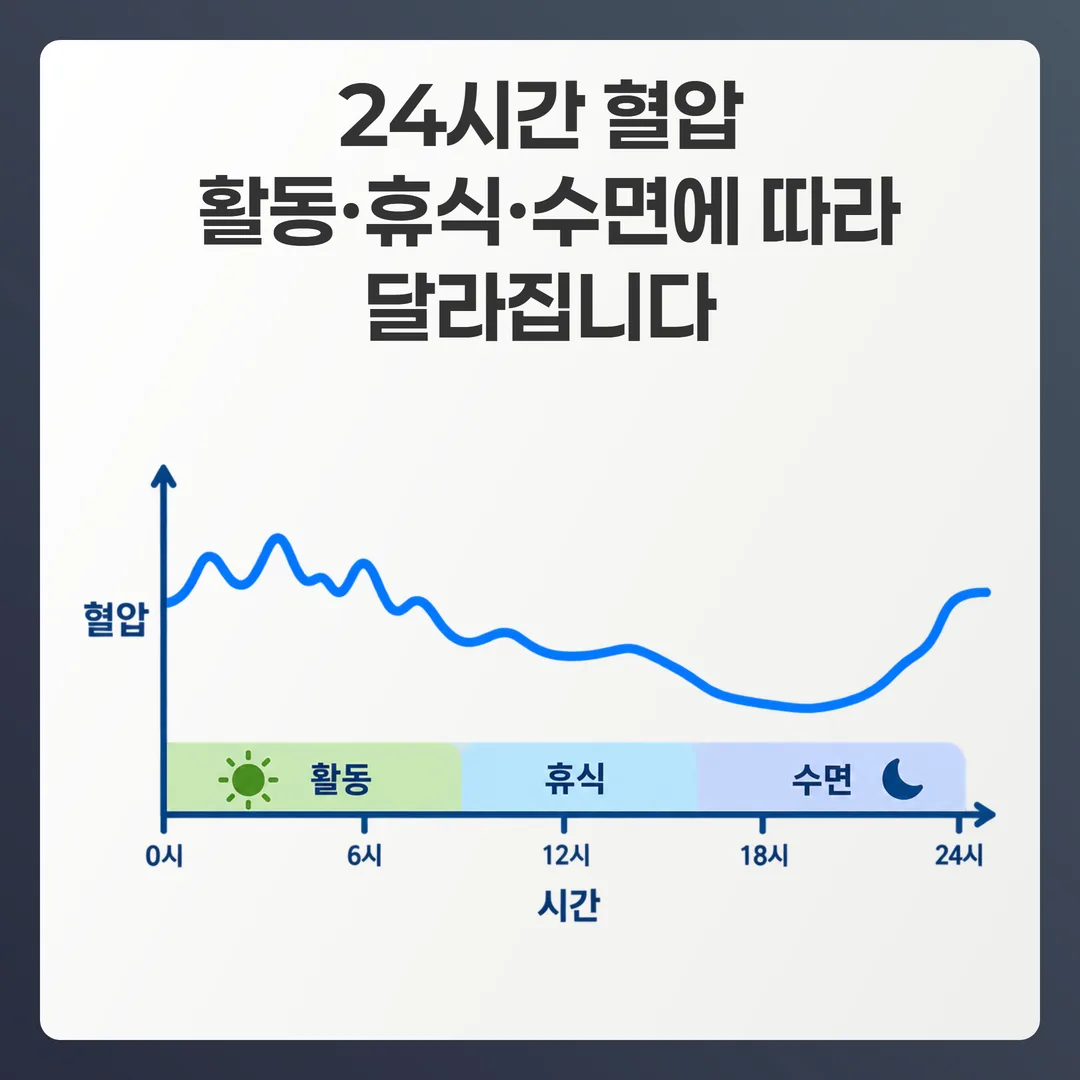 활동 시간과 수면 시간을 포함해 하루 동안 달라지는 혈압 변화를 나타낸 개념 그래프